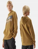 Bluzy dla chłopców - 4F BLUZA CHŁOPIĘCA DRESOWA SPORTOWA Z KAPTUREM DZIECIĘCA - miniaturka - grafika 1