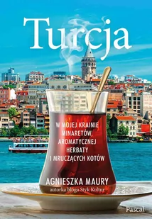 Turcja. W mojej krainie minaretów, aromatycznej herbaty i mruczących kotów - E-booki - przewodniki - miniaturka - grafika 1