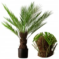Sztuczne kwiaty - SZTUCZNA PALMA CYKAS 80cm DRZEWKO w doniczce jak żywa roślina do salonu - miniaturka - grafika 1
