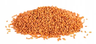 Lnianka ziarno lnicznik siewny nasiona 500 g - Szybkie dania obiadowe - miniaturka - grafika 1