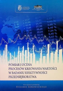 Pomiar i ocena procesów kreowania wartości w badaniu efektywności przedsiębiorstwa - Biznes - miniaturka - grafika 1