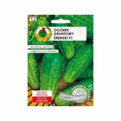 Nasiona i cebule - Pnos Ogórek Gruntowy Śremski F1 6 m - miniaturka - grafika 1
