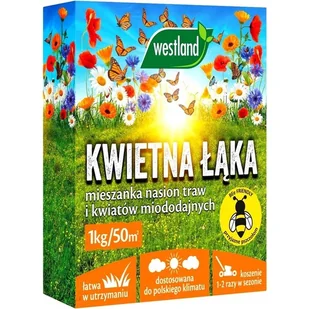KWIETNA ŁĄKA MIESZANKA MIODODAJNA 1KG WESTLAND - Nasiona i cebule - miniaturka - grafika 1