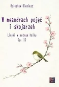 Poezja - W meandrach pojęć i skojarzeń - miniaturka - grafika 1