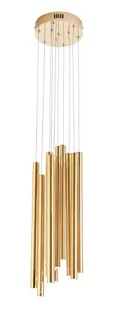 MAXLIGHT P0524D LAMPA WISZĄCA ORGANIC 10x ZŁOTO SZCZOTKOWANE MAŁA ŚCIEMNIALNA - Lampy sufitowe - miniaturka - grafika 1