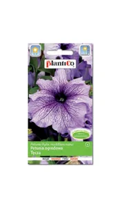 Petunia ogrodowa Tęcza 0,05 g Plantico - Nasiona i cebule - miniaturka - grafika 1