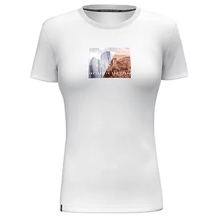 Koszulki i topy damskie - Salewa Pure Design Dry T-shirt damski, biały, S - grafika 1