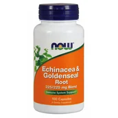 Suplementy naturalne - Now Foods Echinacea i Goldenseal Root - Jeżówka Purpurowa i Gorzknik Kanadyjski (100 kaps.) - miniaturka - grafika 1