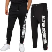 Odzież taktyczna i umundurowanie - Spodnie Alpha Industries Big Letters Jogger 126343 03 - Czarne - miniaturka - grafika 1