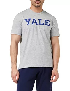 Koszulki męskie - Champion t-shirt męski college, szary, L - grafika 1
