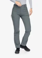 Spodnie narciarskie - Spodnie softshell damskie Jack Wolfskin Holdsteig Pants - slate green - miniaturka - grafika 1