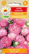 Nasiona i cebule - Aster karłowy Ribbon Red nasiona 0,5g Toraf - miniaturka - grafika 1