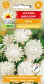 Nasiona i cebule - Nieśmiertelnik biały, kocanka 0,5g Toraf - miniaturka - grafika 1