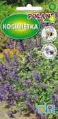 Nasiona i cebule - NASIONA Kocimiętka Mussini 0,2g POLAN Miododajna 416122 - miniaturka - grafika 1