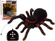 Zabawki zdalnie sterowane - Zdalnie Sterowany Pająk Tarantula Czarny R/C - miniaturka - grafika 1