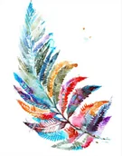 Obrazy i zdjęcia - Obraz Paproć 40 x 50 cm - miniaturka - grafika 1