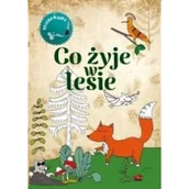 Kolorowanki, wyklejanki - Co żyje w lesie Kolorowanka - miniaturka - grafika 1