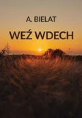 Powieści historyczne i biograficzne - weź wdech - miniaturka - grafika 1