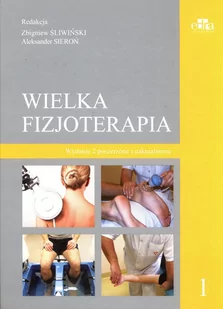 Wielka fizjoterapia. Tom 1 - Poradniki psychologiczne - miniaturka - grafika 1