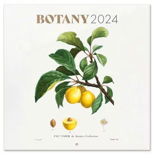 Botanika - kalendarz 2024 - Kalendarze - miniaturka - grafika 1