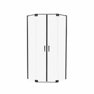 Kabiny prysznicowe - Kabina prysznicowa Swing 2U 80 x 200 Wellneo - miniaturka - grafika 1