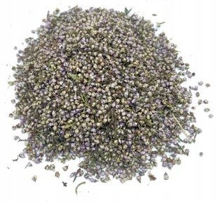 KWIAT WRZOSU ZWYCZAJNEGO CAŁY 1 KG - Przyprawy i zioła sypkie - miniaturka - grafika 1