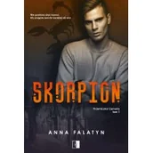 Romanse - Wydawnictwo NieZwykłe Skorpion. Seria Prawniczka Camorry. Tom 1 Anna Falatyn - miniaturka - grafika 1