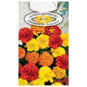 Nasiona i cebule - AKSAMITKA CHAMPION MIX KOLORÓW NASIONA KWIATÓW - miniaturka - grafika 1