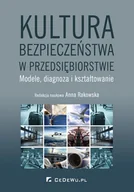 E-booki - biznes i ekonomia - Kultura bezpieczeństwa w przedsiębiorstwie. Modele, diagnoza i kształtowanie - miniaturka - grafika 1