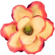 Sztuczne kwiaty - Magnolia Główka Wyrobowa J. Pomarańcz-Purpura 1Szt - miniaturka - grafika 1