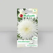 Nasiona i cebule - Aster chiński książęcy Biały 1g - Nasiona - W. Legutko - miniaturka - grafika 1