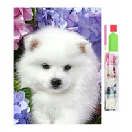 Prace ręczne dla dzieci - HAFT DIAMENTOWY KORALIKI MOZAIKA ZESTAW OBRAZ DIAMOND PAINTING PIES SZPIC - miniaturka - grafika 1