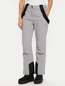 Spodnie narciarskie - 4F Spodnie narciarskie 4FWAW24TFTRF0754 Szary Regular Fit - miniaturka - grafika 1
