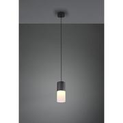Lampy sufitowe - Trio Robin lampa wisząca 1-punktowa czarna/biała 310600101 310600101 - miniaturka - grafika 1