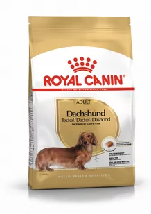Royal Canin Dachshund 28 0,5 kg - Sucha karma dla psów - miniaturka - grafika 1