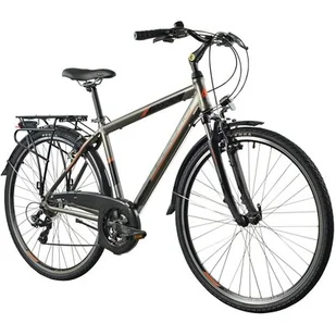 Rower trekkingowy INDIANA X-Road 1.0 M19 28 cali męski Brązowy 2024 - Rowery - miniaturka - grafika 1