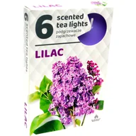 Świece - Podgrzewacz zapachowy bez 6 szt. - miniaturka - grafika 1