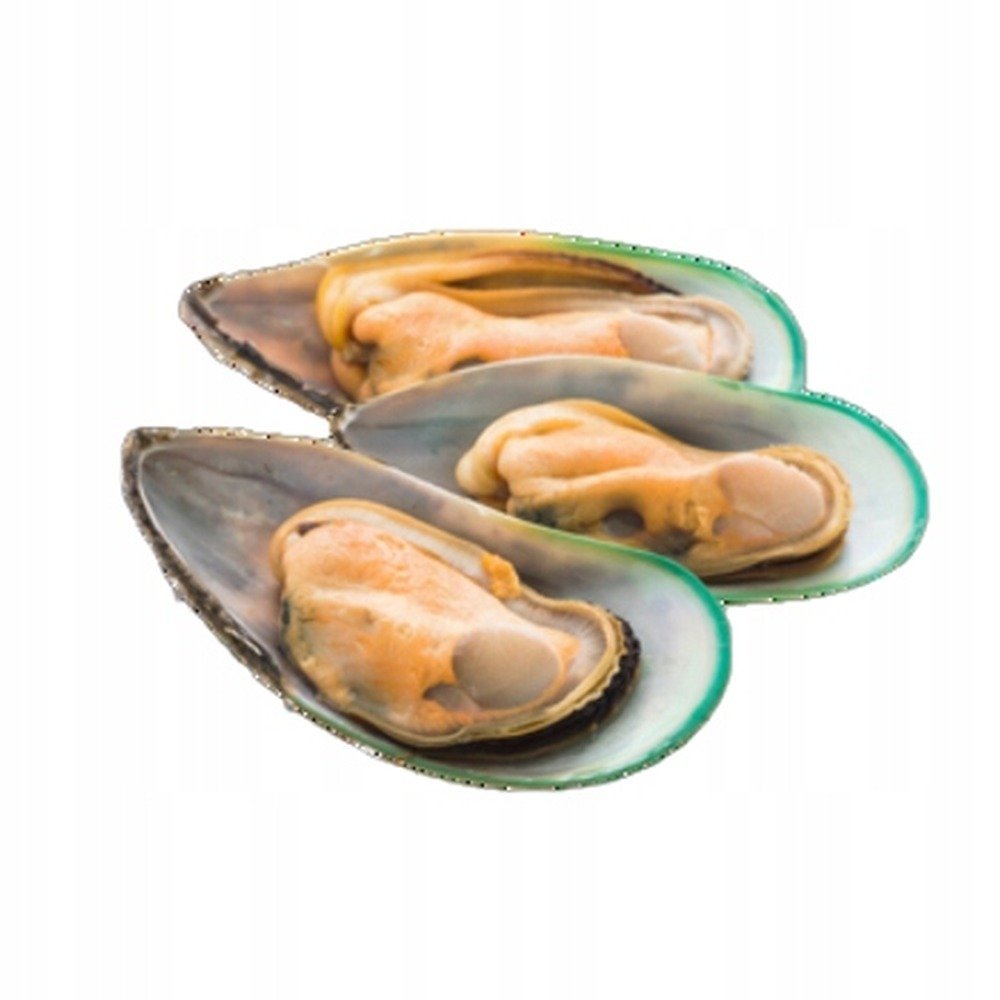 MyFood Małże Nowozelandzkie na połowie muszli blanszowane, rozmiar: 30-45 szt./kg, glazura: 0%, 1000 g