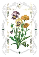 Kartki okolicznościowe i zaproszenia - Karnet kwiaty bratki 12x18 + koperta DaVinci - miniaturka - grafika 1