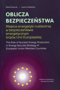 Oblicza bezpieczeństwa - Ekonomia - miniaturka - grafika 1