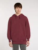 Bluzy męskie - felpa uomo dickies plentywood hd - dk0a866d l161 andorra - miniaturka - grafika 1