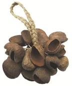 Instrumenty perkusyjne - Toca TOCA Seed Shell shaker TO804444 - miniaturka - grafika 1