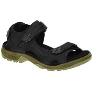 Sandały męskie - Buty do chodzenia męskie Ecco 06956460886 - miniaturka - grafika 1
