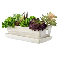 Donice - Kaktusiarka doniczka Ceramika jasny beton 29cm podstawka sukulenty kaktusy - miniaturka - grafika 1