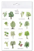 Szkolne artykuły papiernicze - Naklejki Drzewa 1 - Mama Maluje - miniaturka - grafika 1