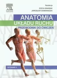 Urban & Partner Anatomia układu ruchu Przewodnik do ćwiczeń - Edra Urban & Partner - Książki medyczne - miniaturka - grafika 1