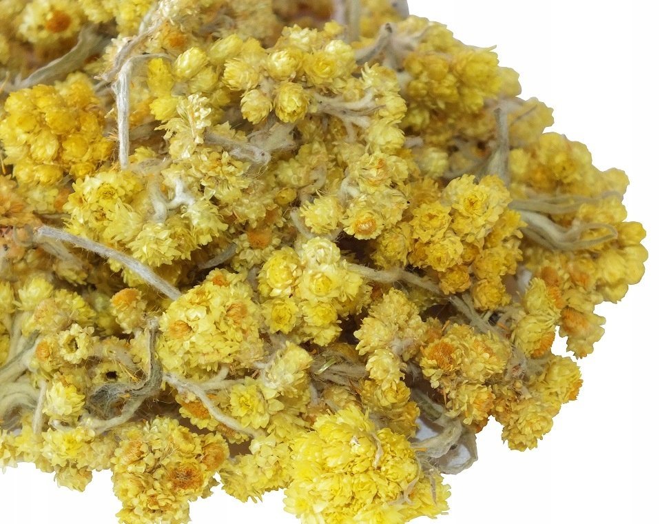 Kocanka suszone kwiatostany rzadkość 25g Skworcu