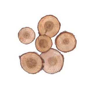 Plastry drewna okrągłe, 3-4 cm, 6 sztuk - Scrapbooking - miniaturka - grafika 1