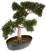 Sztuczne kwiaty - Prawie naturalna 4106 40 40 cm. Jedwabna roślina cedrowa bonsai, zielona - miniaturka - grafika 1