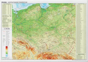 Polska. Mapa ścienna fizyczna - Mapy i plansze edukacyjne - miniaturka - grafika 1